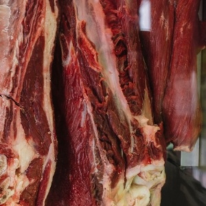 Carne brasileira pode ter pus, mas
não é para se alarmar, diz professor Carne brasileira pode ter pus, mas
não é para se alarmar, diz professor
