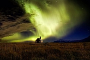 Reprodução/Bored Panda